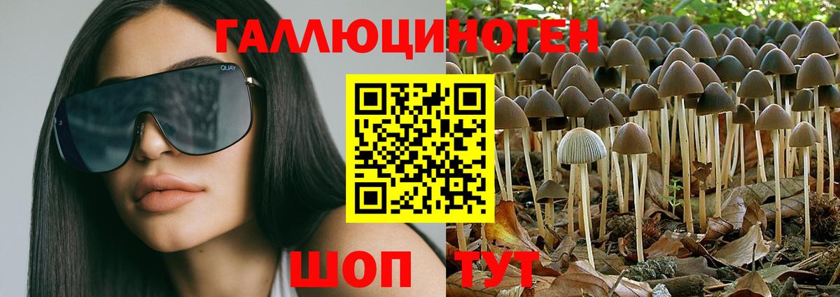 ГАШ  Вход с VPN  COCAIN  Новочеркасск  Лсд 25  A-PVP СК   Меф МЯУ МЯУ   Вейп ТГК 
